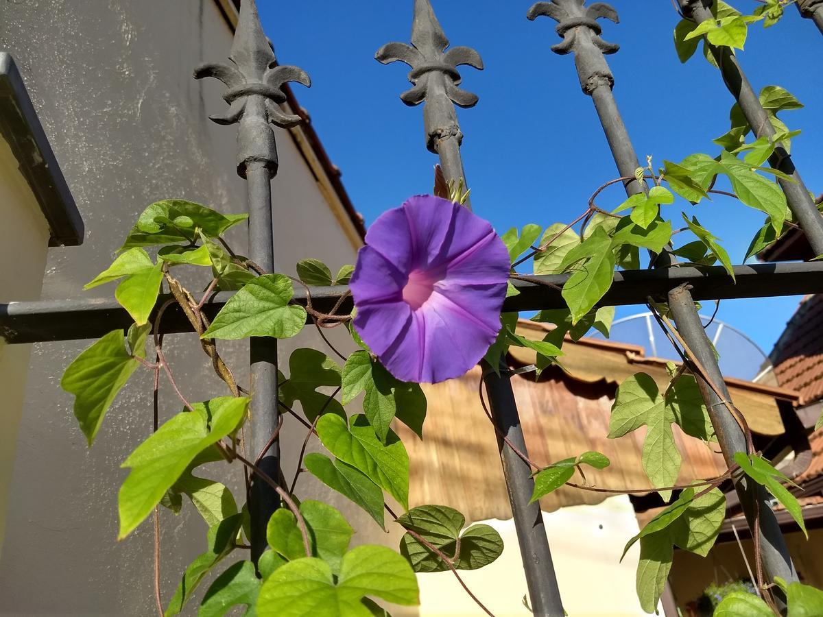 Pousada Castelinho Maricá Buitenkant foto